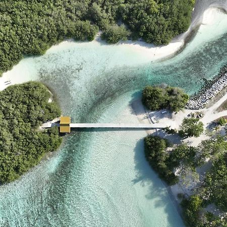 Varunula Surf Camp Thulusdhoo Bagian luar foto
